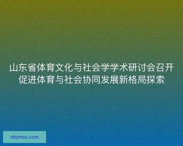 山东省体育文化与社会学学术研讨会召开促进体育与社会协同发展新格局探索