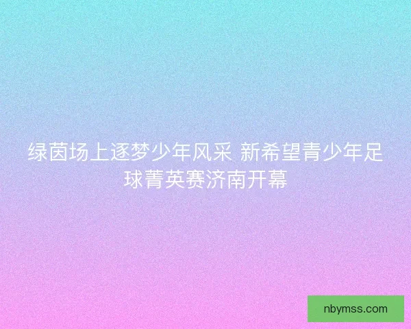 绿茵场上逐梦少年风采 新希望青少年足球菁英赛济南开幕